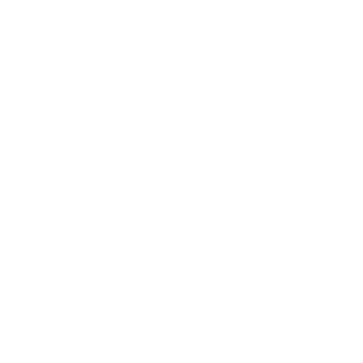logo blanc SJ